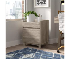 Margo Gray 2-Drawer Filing Cabinet -COSCO Store 810386285 A8 11