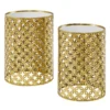 Asher Gold 2-Piece Pierced Metal Nesting Table Set -COSCO Store 810543376 A0 1
