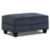 Dancaster Navy Storage Ottoman 2 Dancaster Navy Storage Ottoman -COSCO Store 810569830 2