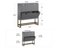 CosmoLiving Brielle Entryway Shoe Storage Cabinet -COSCO Store 810589009 2