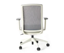 Atto Off-White & Gray Office Chair -COSCO Store 810624144 A1 1