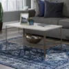 Center City Champagne Oak Coffee Table -COSCO Store 810628165 B0