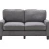 Palisades Gray Loveseat -COSCO Store 810659160 A0 6